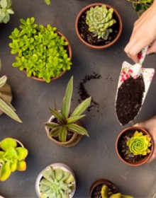 ΕΙΔΗ ΚΑΙ ΕΡΓΑΛΕΙΑ ΚΗΠΟΥ