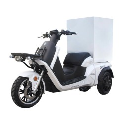 Τρίκυκλο E-RIDE CARRIER DELIVERY 100 με δύο μπαταρίες & δισκόφρενα με CBS
