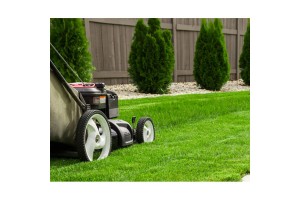 Κούρεμα του γκαζόν. Τι θα πρέπει να γνωρίζετε!