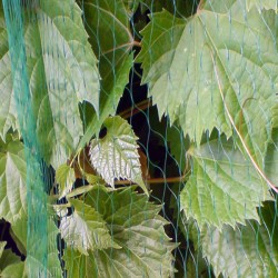 Δίχτυ προστασίας φυτών από τα πουλιά και το χαλάζι 3x5m Bradas