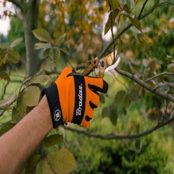 Κλαδευτήρι χειρός SK5 v-series 200mm Bradas με μέγιστη διάμετρο κοπής 25mm Κλαδευτήρι χειρός SK5 v-series 200mm Bradas με μέγιστη διάμετρο κοπής 25mm