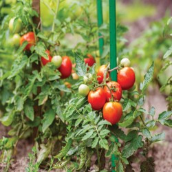 Πάσσαλος κήπου από ατσάλι 1.1x150cm Bradas  Πάσσαλος κήπου από ατσάλι 1.1x150cm Bradas