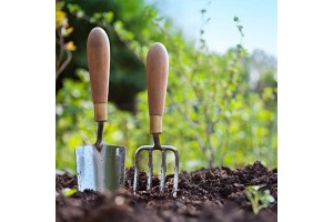 5 Βήματα για την περιποίηση του κήπου σου!