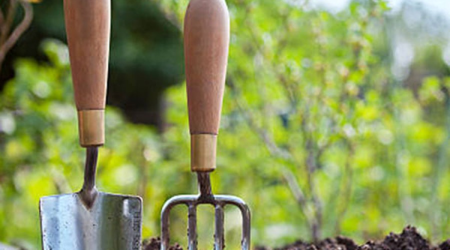 5 Βήματα για την περιποίηση του κήπου σου!