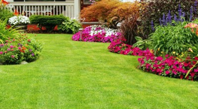 Εντυπωσιακός κήπος με ελάχιστη προσπάθεια!